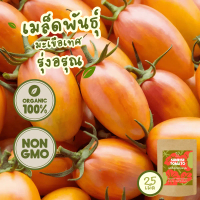 เมล็ดพันธุ์ มะเขือเทศ รุ่งอรุณ(Organic Sunrise Tomato Seeds) บรรจุ 25 เมล็ด