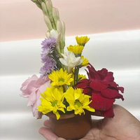 Bunga Bucket Meja fresh, Bunga hidup dengan pot mini