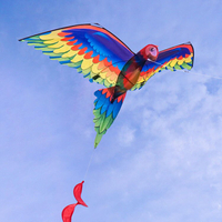 3D立體鸚鵡造型風箏(金剛鸚鵡)(140*230)(全配/附150米輪盤線)【888便利購】