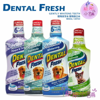 【彤彤小舖】Dental Fresh 寵物潔牙水 漱口水 503ml 6效合1 牙菌斑 牙結石口臭 美國口腔清潔品牌