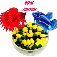 Obat Jantanisasi Breeding ikan cupang dan lainnya 99% Jantan