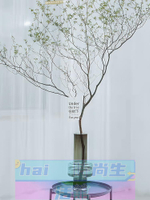 免運 可開發票 玻璃花瓶 吊鐘花瓶玻璃透明日本吊鐘樹植物瓶子高款插花長枝干枝落地花器