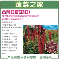【蔬菜之家】H49.台灣紅藜(彩虹)種子(未脫殼)(共2種包裝)