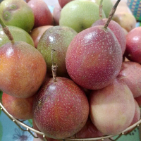 Sweet Markisa Madu Markidu Banyuwangi Segar 1kg isi 20 sampai 30 buah Buah Segar dan Manis Rekomen d