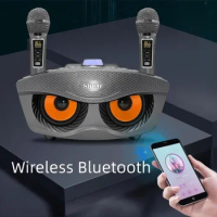 SD306plus Owl Portable Subwoofer Home Theater Outdoor KTV Wireless Microphone Bluetooth Speaker Integrated Machine caixa de som