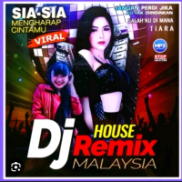 USB FDISK 8GB LEXAR ORIGINAL ISI BONUS LAGU MP3 DJ Lengkap dan dangdut Super hot dengan Bonus OTG - 