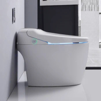 Sanitary ware luxury modern style fully automatic operation electric bidet siphonic flush intelligent smart wc toilet
