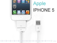iPad Mini iPod touch iPhone5 USB充電線8pin轉30pin轉【GF379】  123便利屋