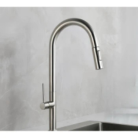 kitchen Single cold faucet sink Single cold water faucet sus304 stainless steel Kitchen Pull out Tap