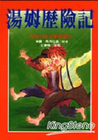 湯姆歷險記