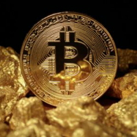 24K 仿金 Bitcoin 金幣BTC外幣美元世界錢幣 比特 紀念幣硬幣