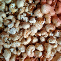 brondong jagung 400g - 600g popcorn jadul