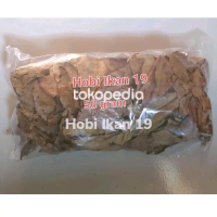 daun ketapang kering/Daun katapang kering/Daun Ketapang olahan/obat