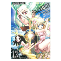 หนังสือพร้อมส่ง Dr.stone เล่ม 13 (New Edition)