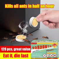 120 pcs, great value WaivoSan Ubat semut Ant killer Racun semut Ant bait