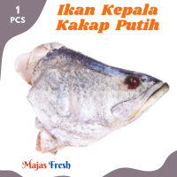 KEPALA IKAN KAKAP PUTIH Segar - Ikan Kepala Kakap Putih Fresh | 1 Pcs - Size Medium (Sedang) [ Harga