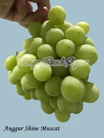 Anggur Shine Muscat Buah Import Buah Segar Pilihan 250gr