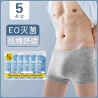 L-XXXXL 5pcs Men Boxer Soft Smooth Cotton Disposable Panties Men Panties Travel Panties