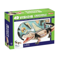 Crocodile Animal Anatomy Model Skeleton Medical Teaching Aid Laboratory Education Equipment 4D Assembling Toy