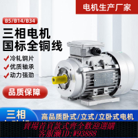 {臺灣公司貨 可打統編}電機380V三相YS鋁殼 1400轉90120w180W250W370W750WKW電動機馬達