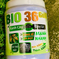 Bio 36 GOLD Siêu Kích Rễ - Bung Rễ Mạnh Đi Đọt Nhanh (Bio36 GOLD Hũ 500g)