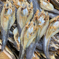 Ikan asin lais kalimantan