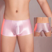 Daily Underwear Men\'s Brief Boxer Brief Lingerie Underwear Low Waist Panties Soft New Stylish Comfy Fashion Hot