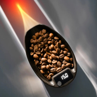 Adapted for MHW-3BOMBER MVE Coffee Scale β Digital Espresso & Pour Over Scale with Timer| Precision