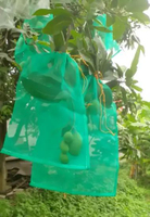 Brongsong Pembungkus Buah Standart Sedang - Eceran