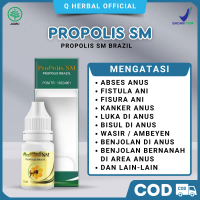 Propolis SM - Atasi Abses Anus, Atasi Fistula Anis, Fisura Anus, Anus Bengkak, Benjolan Bernanah Di 
