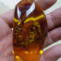 Exquisite Chinese collection Artificial Amber Resin vivid Centipede