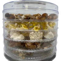 Food 5-8 Trays Dryer with Digital Timer Temperature Control Food Mushroom Dehydrator Herb Dehydrator Candy Machine
