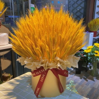 黃金麥穗干花小麥天然干稻穗開業大麥賣干花花束裝飾擺件拍攝道具
