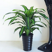 裝飾盆栽 巴西木仿真植物大型盆栽落地塑料綠植室內辦公家居裝飾擺設件 清涼一夏钜惠