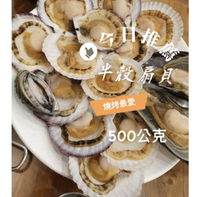 [誠實討海人] 半殼扇貝 (無卵) (500g/包)
