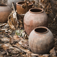 掬涵 大型古董陶罐 老罐子 陶缸土陶裝飾擺件花器花壇紅陶花瓶