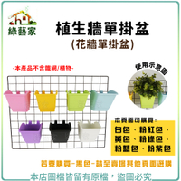 【綠藝家】植生牆單掛盆(花牆單掛盆) 6色可選