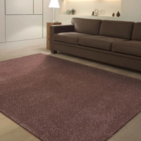 【范登伯格】比利時 璀璨四季長毛地毯(120x170cm/共四色)