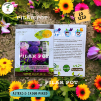 Benih Bibit Bunga Aster Crego Mixed Haira Seed - ASTER CREGO MIXED