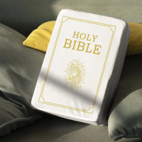 Children Gift Realistic Looking Bible Pillow Sofa Cushion Plush Toy Bible Throw Pillow Cutest 33*22c