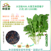 【綠藝家】大包裝A86.大葉芝麻菜種子25克 (約12000顆)