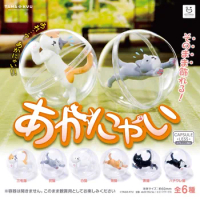 Japan Original Kawaii Gashapon Figure Anime Figurine Cute Cat BUSHIROAD TAMA-KYU Miniature Capsule Toys Kids Gift