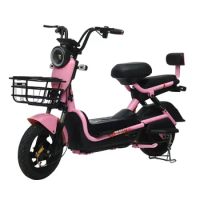 2 wheel electric scooter 3 wheel cart electric scooter adults ride electric bicycle with battery and Charger ebike