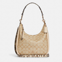 CANVAS HOBO 2024 2 BigGo