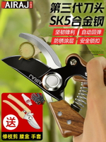剪枝剪刀果樹修枝剪園藝園林修剪樹枝剪刀花剪花藝枝剪專用工具