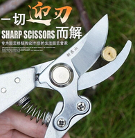 新東山 修剪樹枝修枝剪修花木園林工具園藝剪刀果樹剪子粗枝剪花
