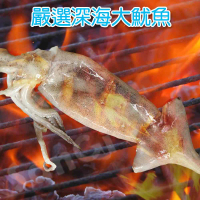 【賣魚的家】嚴選深海大魷魚 (350g±3%/2尾/包) -16尾共8包