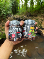 MAGGOT ELIT (Bos Bos Qu) PIGMEN RED