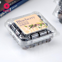 125g 壹次性 加厚 透明 藍莓 透氣pet塑料 水果樹莓 鮮果盒 100個