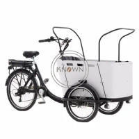 Pedal And Electric Family Cargo Bike Electric Adult Tricycle Dropshipping